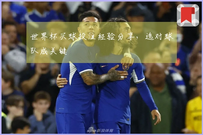 世界杯买球投注经验分享，选对球队成关键