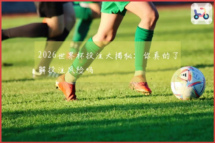 2026世界杯投注大揭秘：你真的了解投注风险吗
