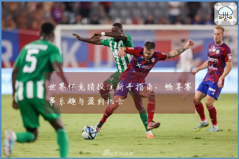 世界杯竞猜投注新手指南，畅享赛事乐趣与盈利机会