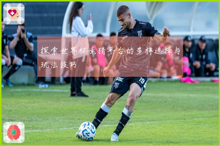 探索世界杯竞猜平台的多样选择与玩法技巧