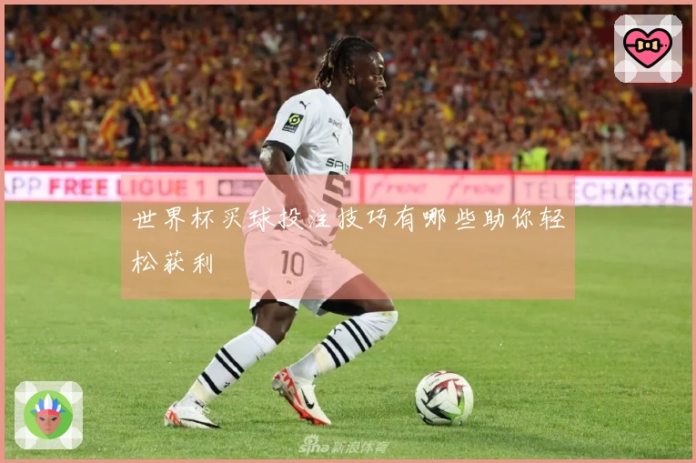 世界杯买球投注技巧有哪些助你轻松获利