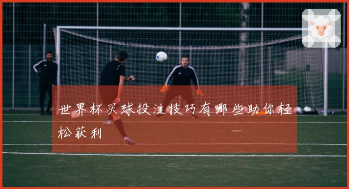 世界杯买球投注技巧有哪些助你轻松获利