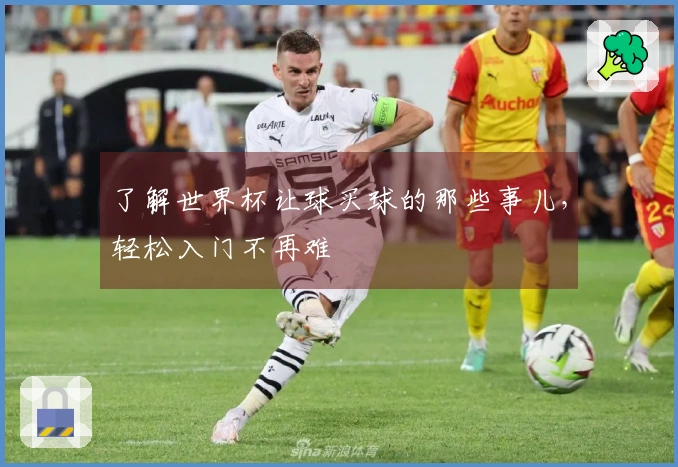 了解世界杯让球买球的那些事儿，轻松入门不再难